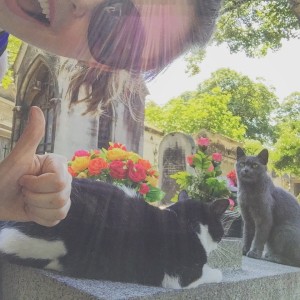 MontmartreCemeteryCats